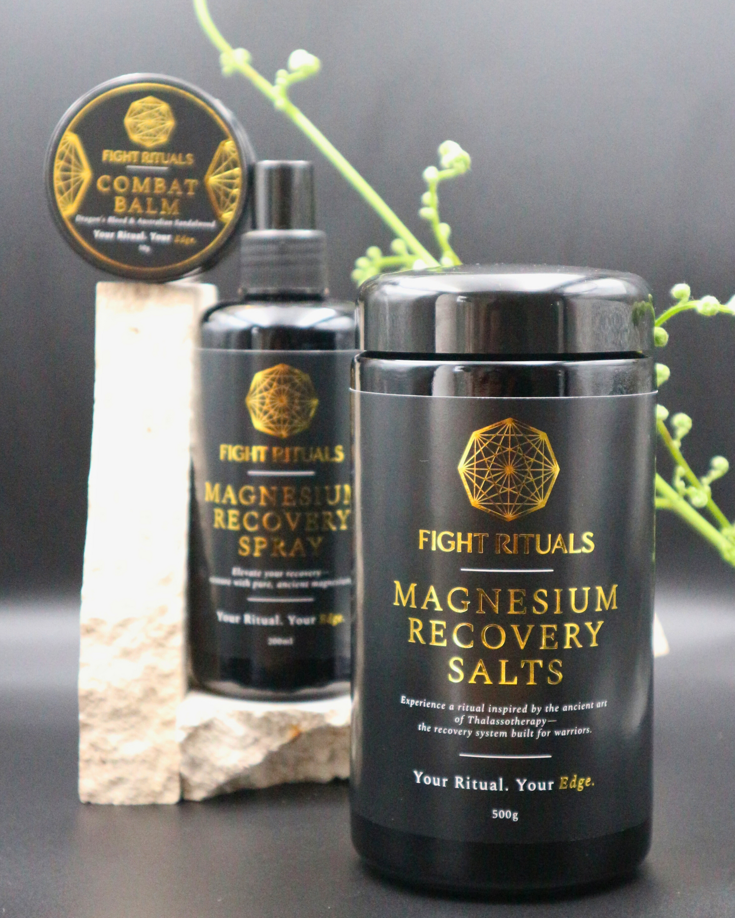 THE MODERN WARRIOR BUNDLE